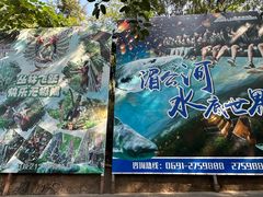 -西双版纳原始森林公园