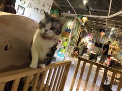 -小时光咖啡馆(开森度假森林店)