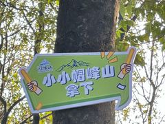 -广州市帽峰山景区