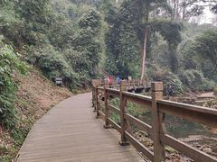 -凤栖山