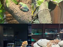 -帕帕拉兹宠物(亚洲旗舰店)