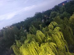 -南京眼步行桥