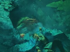 -芜湖方特东方神画