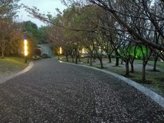 -苏州河梦清园环保主题公园