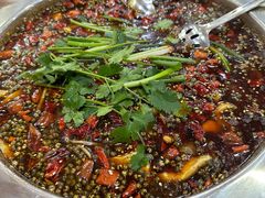 -乡土特色.冷锅鱼.牦牛肉汤锅