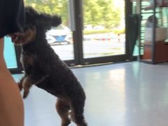 -心仪动物医院·牙专科·肿瘤·心脏科(西客站院)