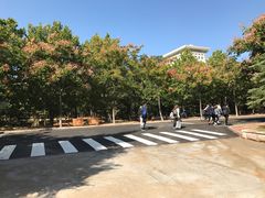 -山东大学(威海校区)