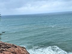 -广东惠东海龟国家级自然保护区