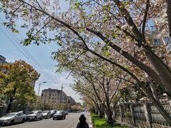 -永乐路-路侧停车场