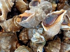 -北京清河镇农副产品交易市场中心