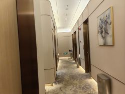 -美丽田园
