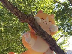 -西安电影制片厂