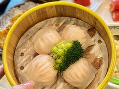 -粤秀小厨·广式早茶(辽宁路店)