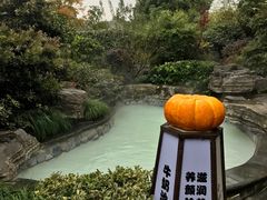 -杭州第一世界大酒店·云曼温泉