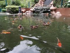 -吉隆坡雀鸟公园
