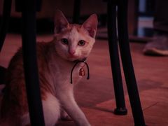 -WATER CAFE(广厦店)