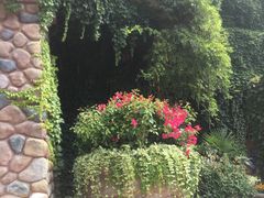 景点-上海玛雅海滩水公园