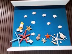 -青岛贝壳博物馆