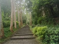 -火炉山森林公园