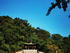 -紫阳古街