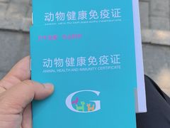 -北京观赏动物医院·24小时大型综合·猫专科·异宠专科