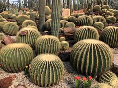 -南通洲际绿博园