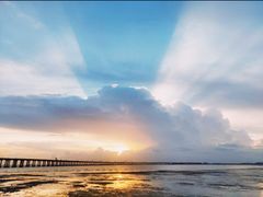 -宝安西湾红树林湿地公园