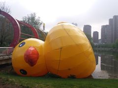 -长白岛森林公园