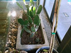 -糖房咖啡(南锣鼓巷店)