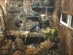 -大匠工房古船木艺术餐厅·猪肚鸡专门店(长白仙岛店)