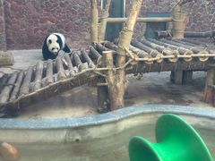 -黔灵山公园