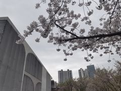 -龙美术馆(西岸馆)