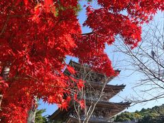 -醍醐寺