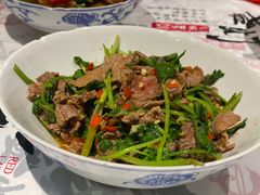 -壹盏灯(惠农店)
