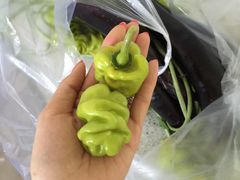 -意大利农场西餐厅(顺义店)