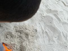 -映月湖中央公园