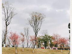 -府河摄影公园