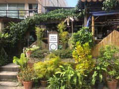 -Jungle Kitchen