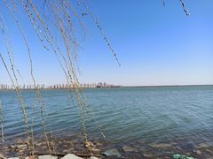 -天津东丽湖风景区