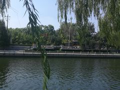 -万柳阁小馆·花园餐厅(龙潭湖店)