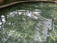 -苏州湾·王焰温泉