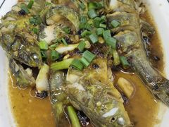 -八仔大富楼·河鲜(西江店)