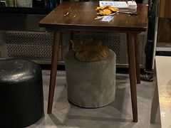 -咖法森林·咖啡  酒吧(天河店)