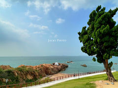 -小麦岛公园
