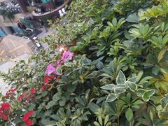 -听香·678茶铺(猛追湾店)
