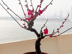 -轮渡红巷旅游码头