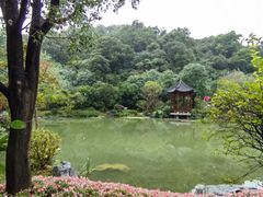 -云溪植物园