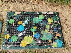 -昆山城市生态森林公园