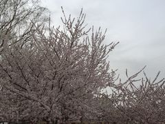 -赛汗塔拉风情园