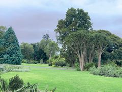 -墨尔本皇家植物园